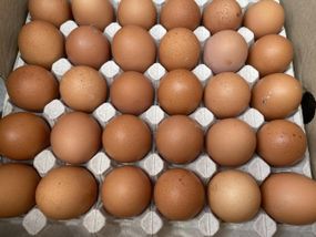 Домашние куриные яйца - продажа ящиками! 360 шт у ящику