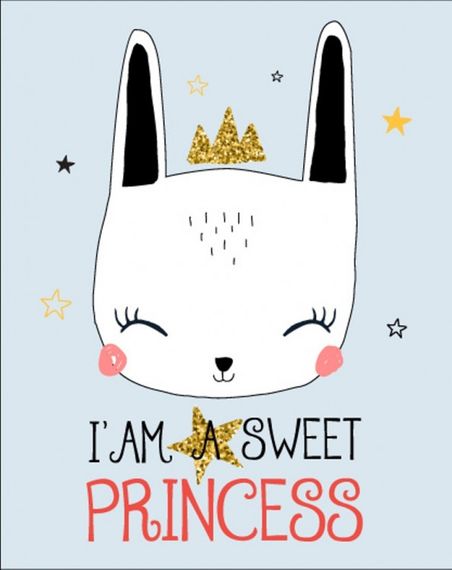 Постер в рамке Princess 30х40 см