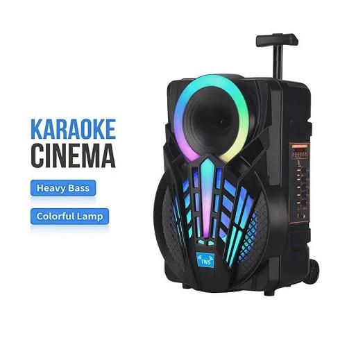 Акустична система портативна XPRO GZ-W1312 12'' 30W пульт мікрофон бездротової (MER-15680_2521) | Зображення 2
