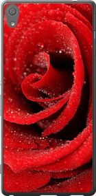 Чехол на Sony Xperia XA Ultra Dual F3212 Красная роза "529u-391-17620"