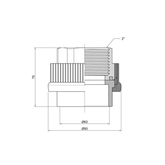 Муфта PPR Thermo Alliance 63х2" ВР | Зображення 1