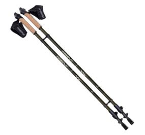 Палиці для скандинавської ходьби PowerPlay 9108 Sisu Black/Gold 80-135 см (пара) + 2-ві пари чобітків + чохол (PP_9108_Sisu)