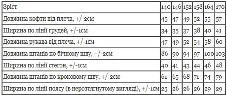 Костюм для дівчинки (підлітковий) Носи своє 152 Сірий (p-16383-189090) | Зображення 1