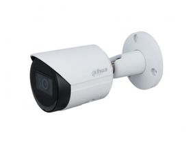 Видеокамера IP Dahua DH-IPC-HFW2431SP-S-S2