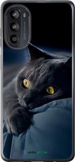 Чохол на Motorola Moto G52 Димчастий кіт "825u-2691-2448"