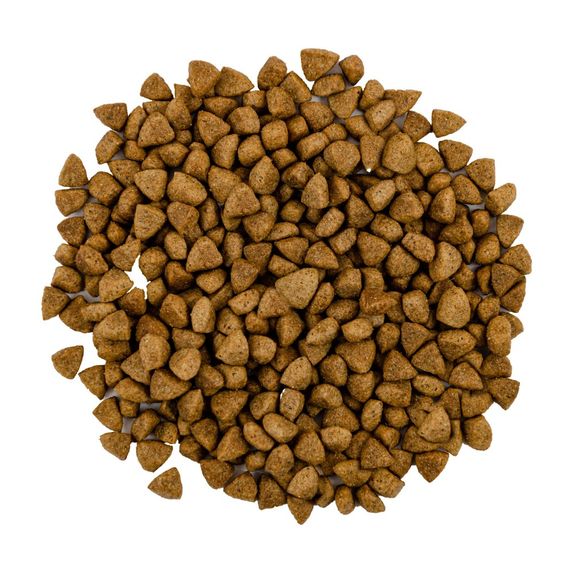 Корм сухий Savory Adult Cat Steril Fresh Lamb and Chicken для стерилізованих котів зі свіжим ягням і куркою 8 кг | Зображення 1