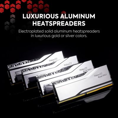 Модуль памяти для компьютера DDR5 32GB (2x16GB) 6000 MHz Trident Z5 Royal Silver G.Skill (F5-6000J2836G16GX2-TR5S) | Зображення 5