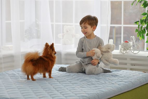 Топпер Ролл Ап 7 зон Dormeo  90x200 см | Зображення 4