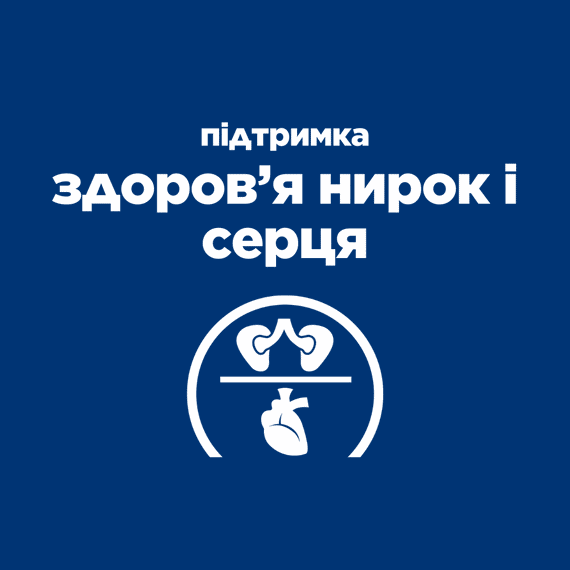 Hill’s Prescription Diet y/d Thyroid Care Сухий корм для підтримки здоров’я щитоподібної залози, 3 кг | Зображення 4