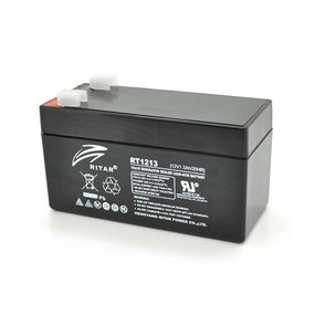 Аккумуляторная батарея AGM RITAR RT1213, Black Case