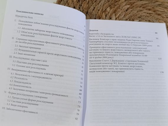 Ерік Сванідзе Ефективне розслідування фактів жорстокого поводження: Керівні принципи застосування | Зображення 1