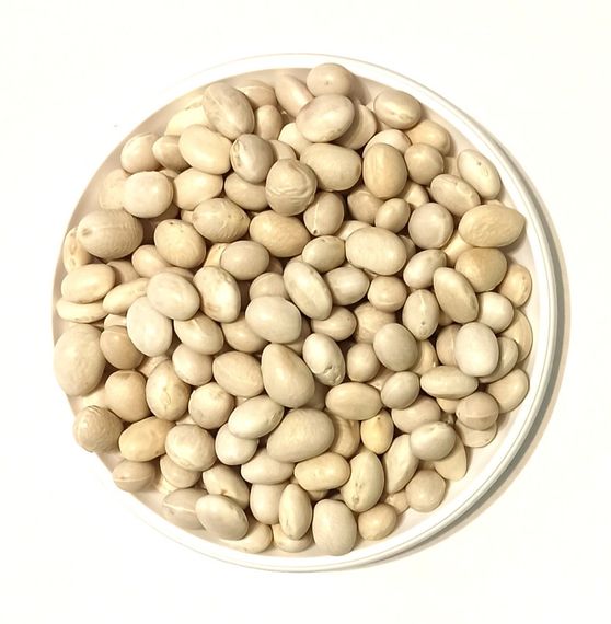 Насіння квасолі Цукрова біла 0.5 кг