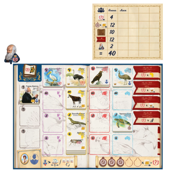 Настольная игра По следам Дарвина (In the Footsteps of Darwin) | Зображення 1