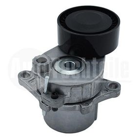 Натяжитель ремня Mercedes Benz W906 / W907 OM 651 09-/ W639 OM 651 10-14, AutoTechteile, 100 2008, 100 2008