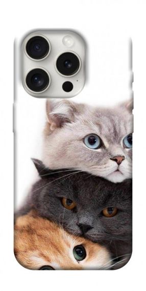 Чохол з картинкою Три коти для Apple iPhone 16 Pro (6.3")