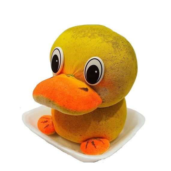 Трав'янчик каченя