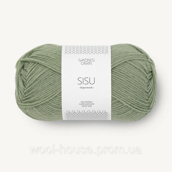 Шкарпеткова пряжа Sandnes Garn Sisu 50 г, 9041