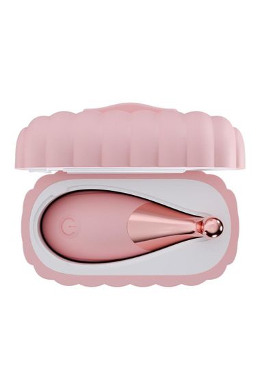 Набір вібраторів Blush Play With Me з пультом та кейсом, рожевий, 2 шт. Sex Aura | Зображення 1