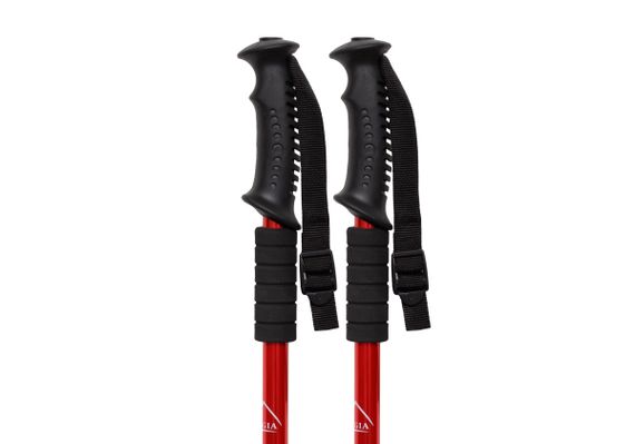 Трекинговая палка для скандинавской ходьбы EasyFit 1 штука Черно-красная 1 шт (EF-3924-R) | Зображення 3