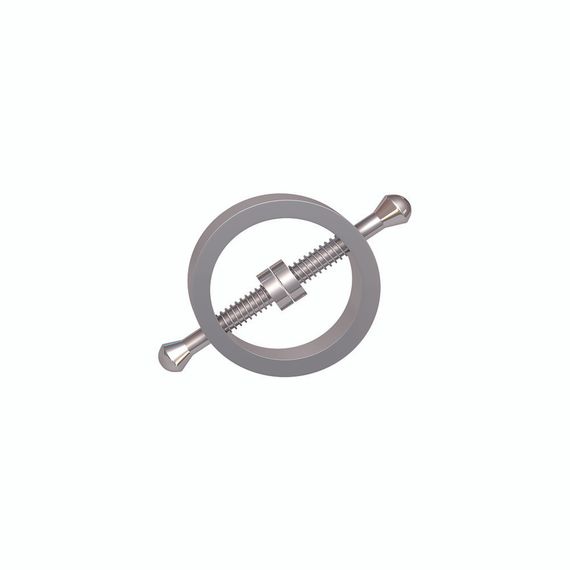 Затискачі для сосків пружинні Chisa Sins Metal, сріблясті Sex Aura | Зображення 4
