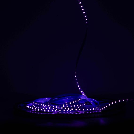 Світлодіодна LED стрічка PROLUM™ 24V IP20 2835\120 6ММ S-TYPE Series "S" Фіолетовий | Зображення 1