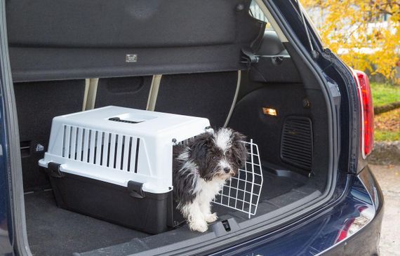 Переноска для котів і собак FERPLAST CARRIER ATLAS 10 EL