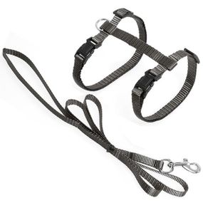 Flamingo Cat Harness and Leash Ziggi фламинго зигги шлея и поводок для котов Cіро-коричневий
