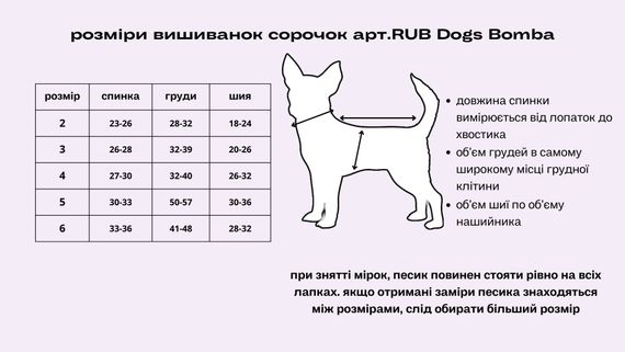 Сорочка Dogs Bomba квiти RUB-39 | Зображення 2