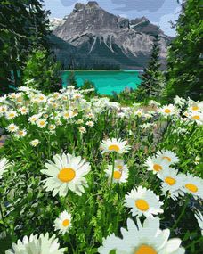 Картина по номерам. Brushme "Ромашки у гор" GX29451