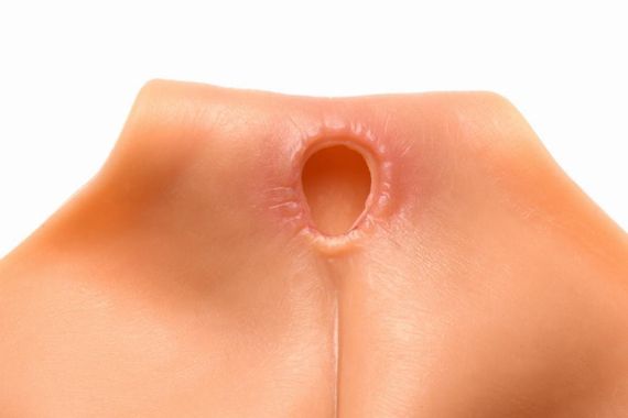 Накладна вагіна Master Series Silicone Vagina + Butt Panties — Medium Sex Aura | Зображення 3