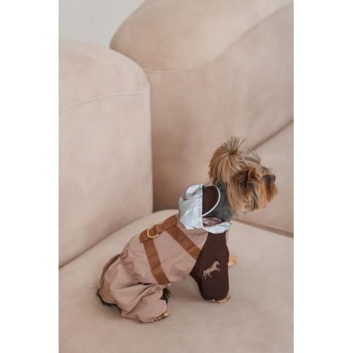 Дощовик Pet Fashion Mustang для собак розмір XS | Зображення 4