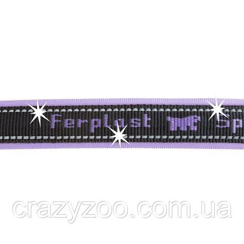 Нашийник для собак Ferplast Sport Dog C15/35 нейлон фіолетовий 1.5х25-35 см 78003819 | Зображення 1
