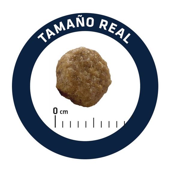 Сухий корм з куркою для кошенят Advance Cat Kitten, 3 кг | Зображення 7