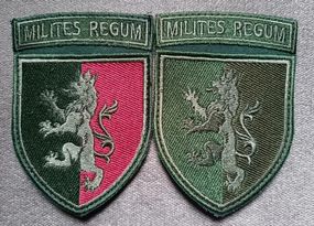 Шеврон 24 ОМБр "MILITES REGUM" — 2 шт (кольоровий + зелений)