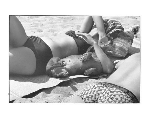 Легендарные фотографы современности книга лучших фотографий Эллиотта Эрвитта Elliott Erwitt: Personal Best | Зображення 2