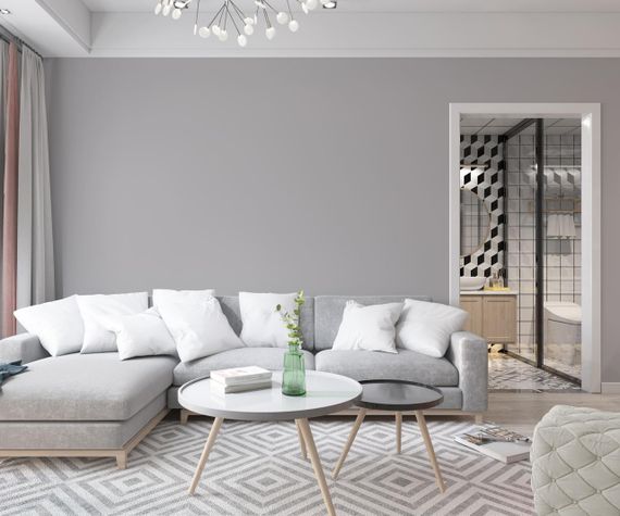 Краска Интерьерная Латексная Skyline 2000-N Дымчатый 5л | Зображення 2