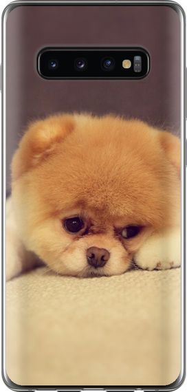 Чехол на Samsung Galaxy S10 Plus Boo 2 "890u-1649-17620"