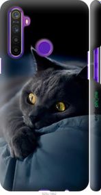 Чохол на Realme 5 Димчастий кіт "825m-1862-2448"