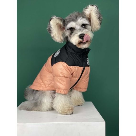 Брендовая курточка-пуховик для собак THE DOG FACE без капюшона, на змейке, кремовая | Зображення 2