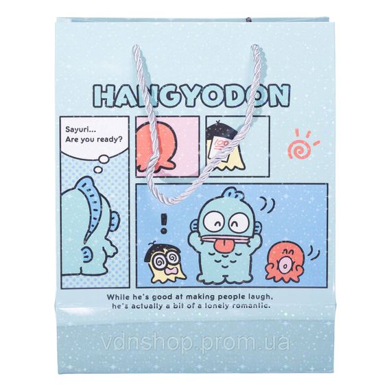 Набір подарункових пакетів з паперу 12 (шт.) Hangidon картонні гарні пакети для подарунків 19×9.5×24.5 (см) Блакитний