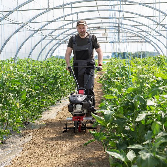 Культиватор AL-KO Easy MH 360 (113969) | Зображення 2