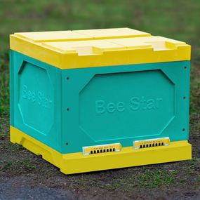 Вулик ППУ «BeeStar» (1 корпус Дадан на 12 рамок) – кольоровий
