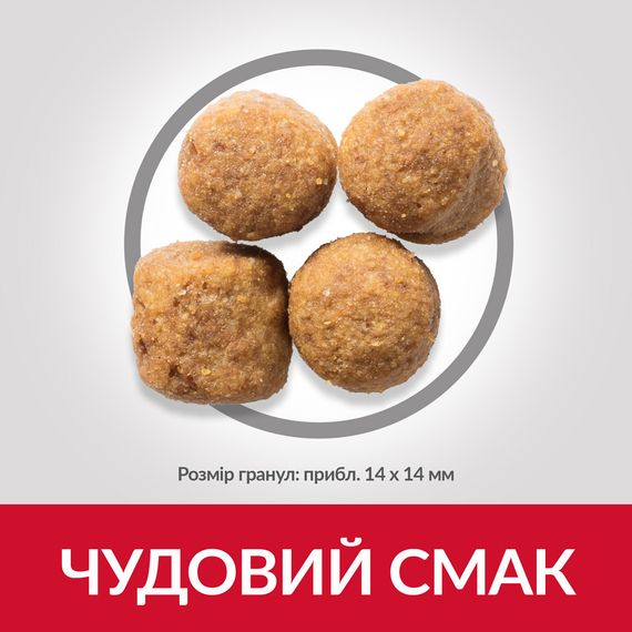 Сухий корм Hill's Science Plan для дорослих собак великих порід із куркою 14 кг | Зображення 3