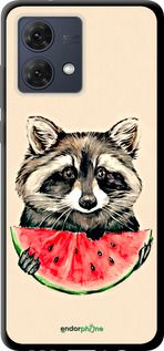 Чохол на Motorola Moto G84 Єнотик з кавуном "4605b-3344-2448"