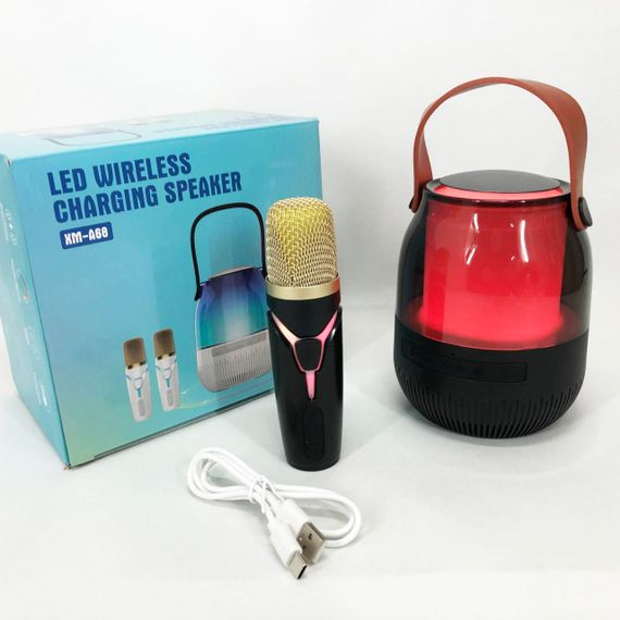 Домашній дитячий караоке мікрофон XM-A68, Караоке мікрофон оригінал домашнє дитяче YO-96 | Зображення 2