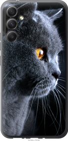 Чехол на Samsung Galaxy A34 A346E Красивый кот "3038u-2936-17620"