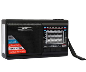 Портативний радіоприймач NNS NS-2040S Solar з ліхтарем, сонячною панеллю, Bluetooth, USB, TF чорний (24406-NS-2040S_844)