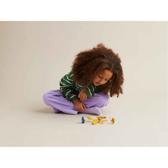 Конструктор LEGO NINJAGO Атака повсталого дракона Аріна 27 деталей (71803) | Зображення 5