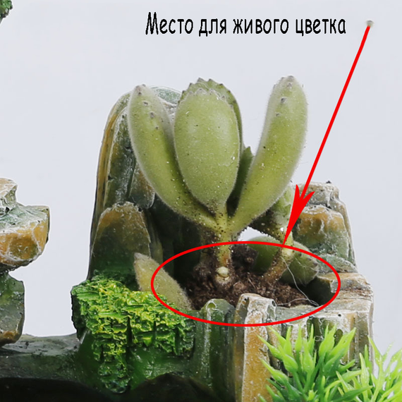 Настольный декоративный фонтан/водопад/увлажнитель воздуха Lucky Tree с подсветкой и генератором пара (атомайзер) (sv1113) | Зображення 3