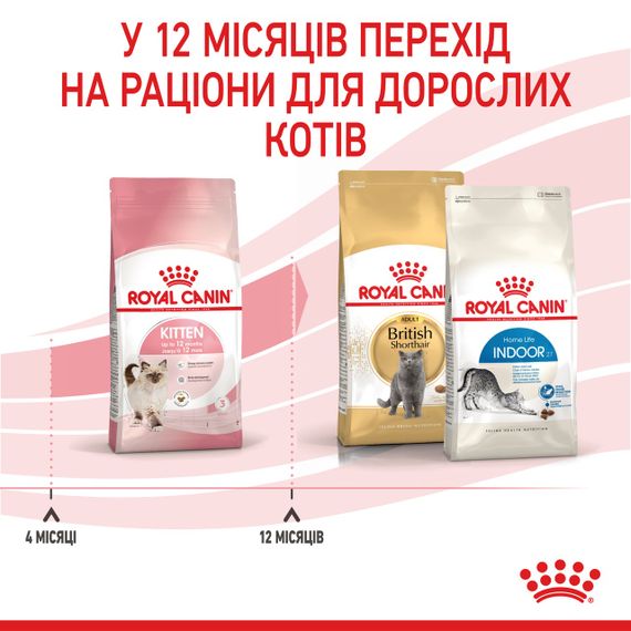 Сухий корм для кошенят Royal Canin Kitten, 1.2 кг | Зображення 6